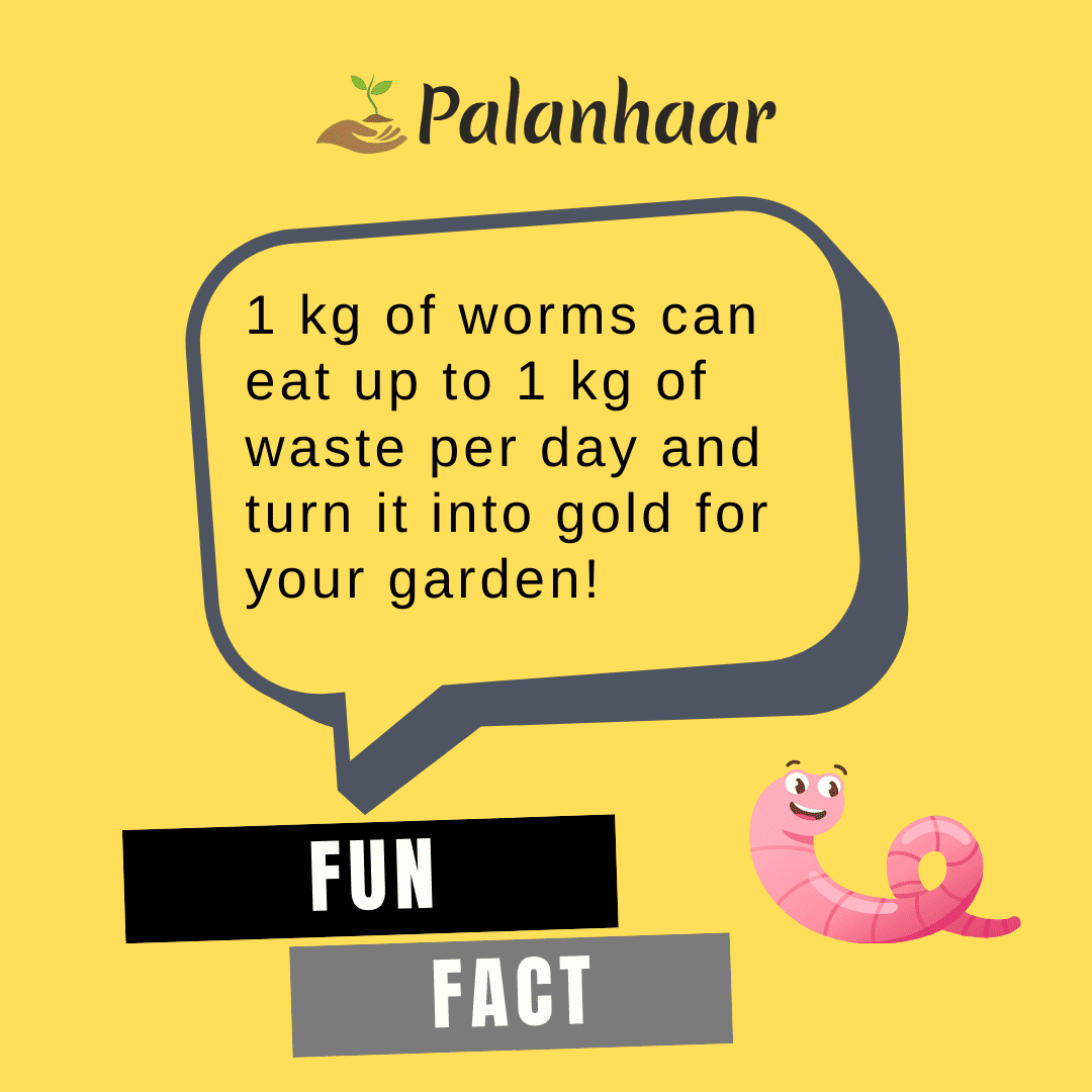 fun-fact-vermicompost