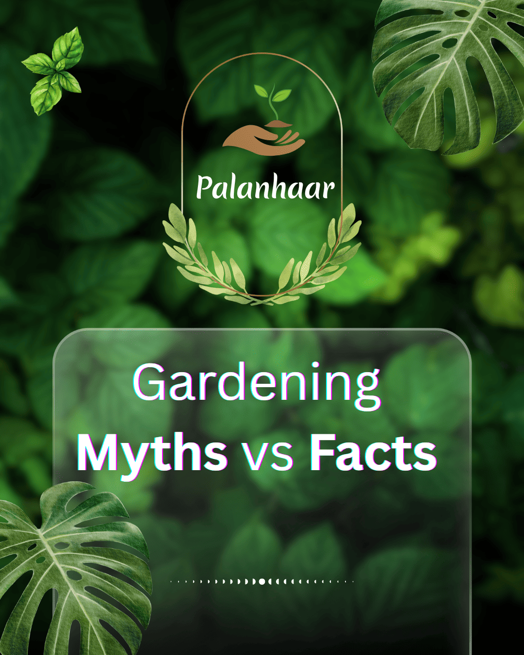 gardening-myths-vs-facts