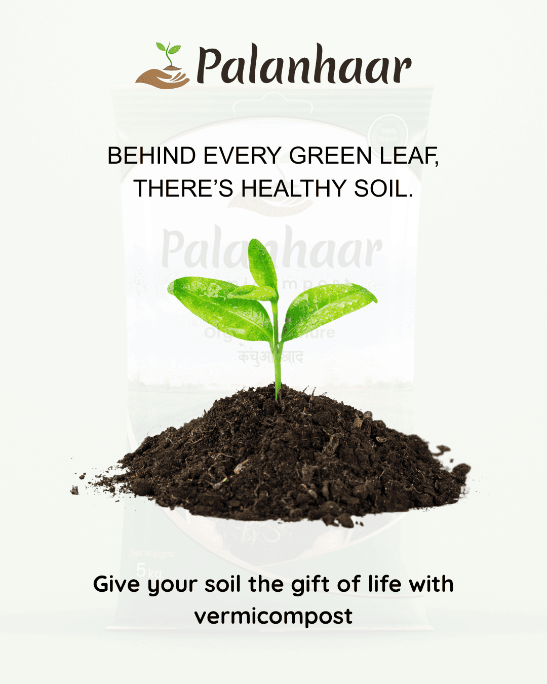 green-leaf-health-soil