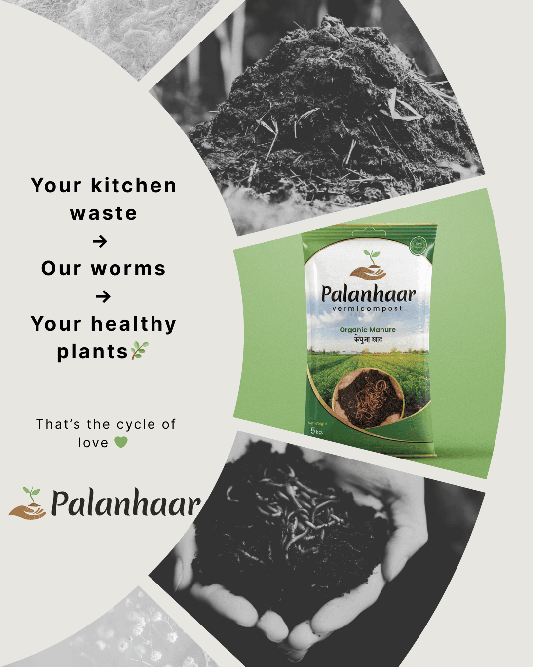 healthy-plants-compost