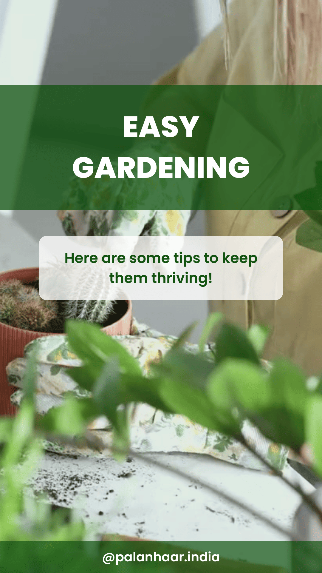 organic-gardening-tips