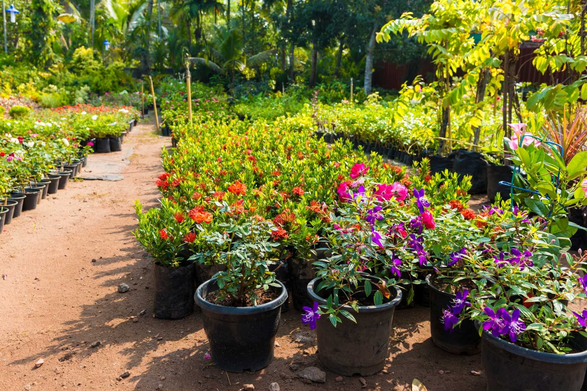 Nurseries